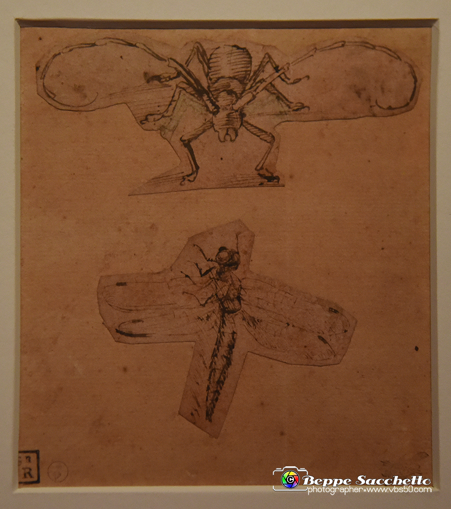VBS_9748 - Mostra A tu per tu con Leonardo.jpg